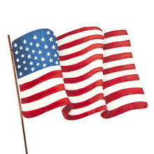  Waving American Flag