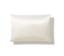  Standard Satin Pillow Case
