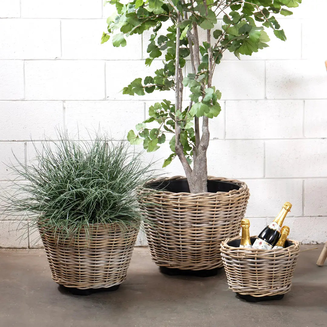 Round Rattan Pots with Liners 3 Sizes – Wildflowers