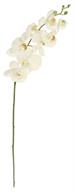 Faux Phalaenopsis Orchid Spray 36"