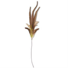  34" Ring Neck Feather Spray w/Green Feathers