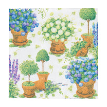  Potted Hydrangea Cocktail Napkins 20/Pkg