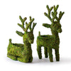 Reindeer Deco Planters
