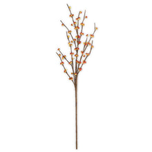  31.5" Bittersweet Stem