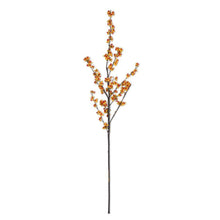  40" Orange and Yellow Bittersweet Branch 41589A