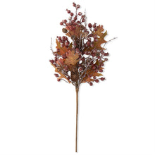  24" Rosehip Twig and Pinecone Stem