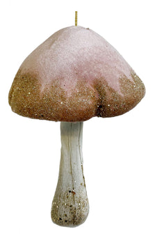  Large Pink Velvet Mushroom