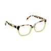 Athens Chai Tortoise/Matcha