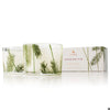 Frasier Fir Boxed Candle Set Pine Needle
