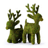 Reindeer Deco Planters