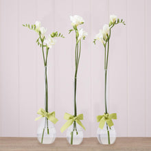  Glass Vase Teardrop Botton