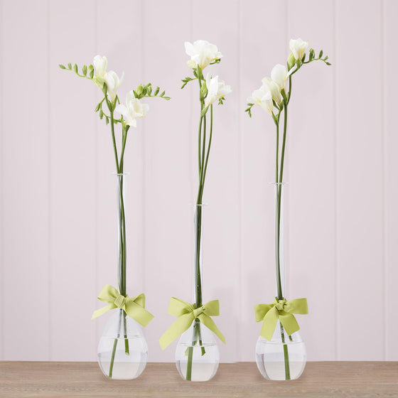Glass Vase Teardrop Botton