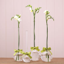  Bubble Vases with Stem 4 Sizes