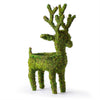 Reindeer Deco Planters