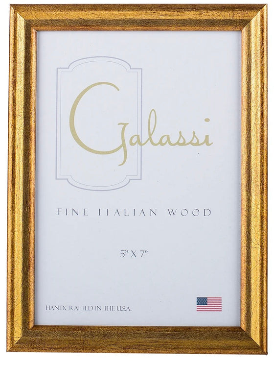 Gold or Silver Florentine Italian Wood Frame
