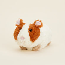  Guinea Pig Warmie