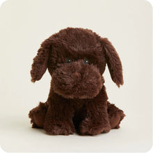  Chocolate Labrador Warmie