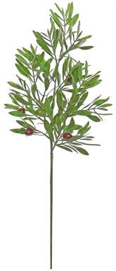 25" Olive Branch Stem