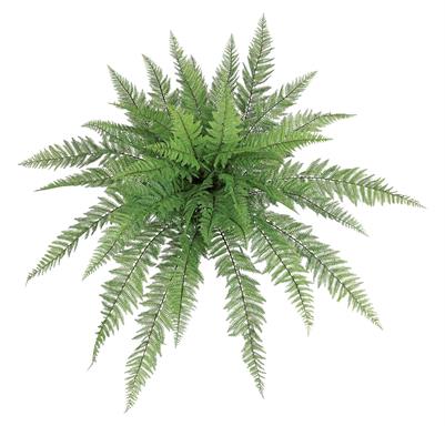 46" Leather Fern
