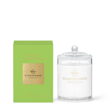  Perfect Palm Springs Large Glasshouse Candle