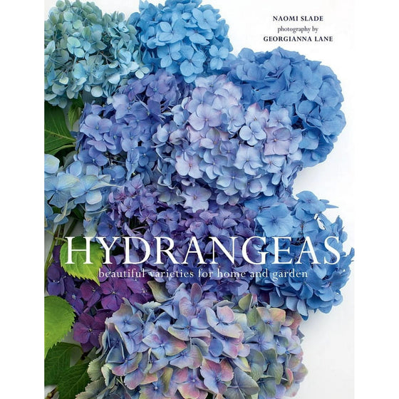 Assorted Coffee Table Books