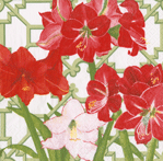  Amaryllis Luncheon Napkin
