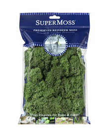  Large Bag Reindeer Moss Basil Color