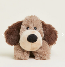  Brown Dog Junior Warmie
