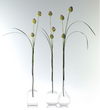 Modern Guru Bud Vase