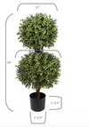 UV Boxwood 48" Topiary