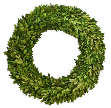  Round Preserved Boxwood 24"