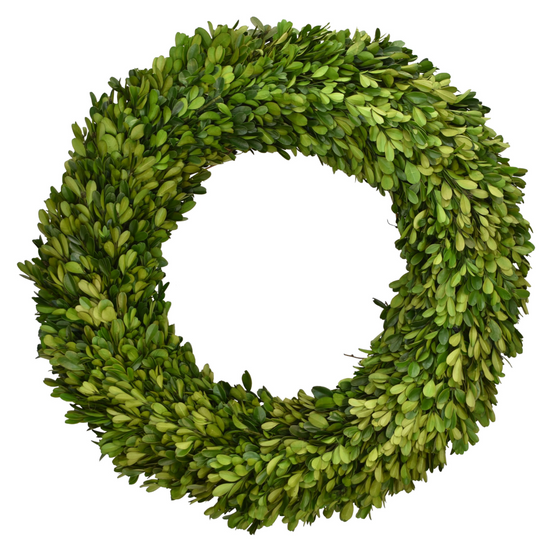 Round Preserved Boxwood 24"