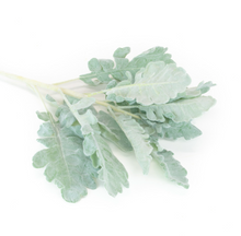  Artificial Dusty Miller