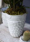 Medium White Artsi Vase