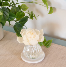  Cashmere Kiss Flower Diffuser