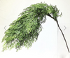Cascading Cedar Spray 33"