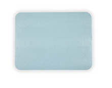  Aqua Lizard Print Rectangular Placemat