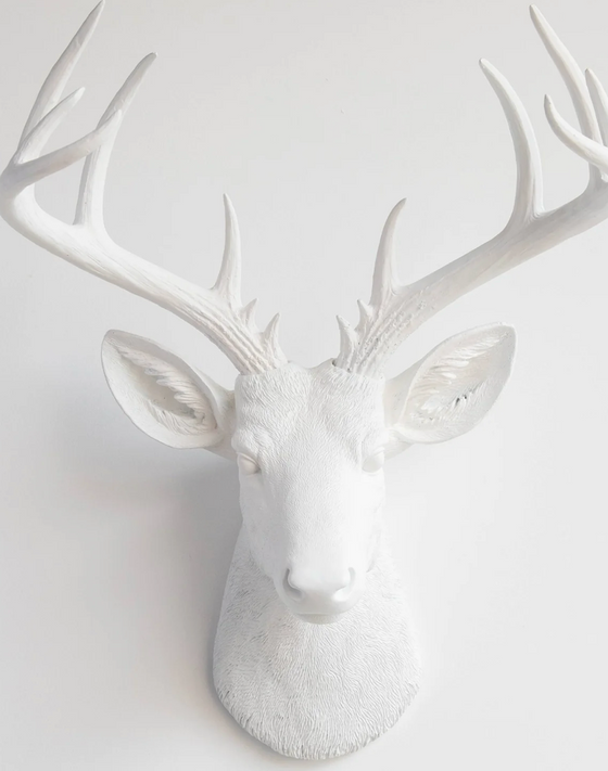 27" Distressed White Resin Deer Bust