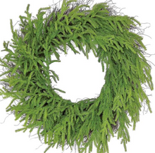  27" Norfolk Pine Wreath