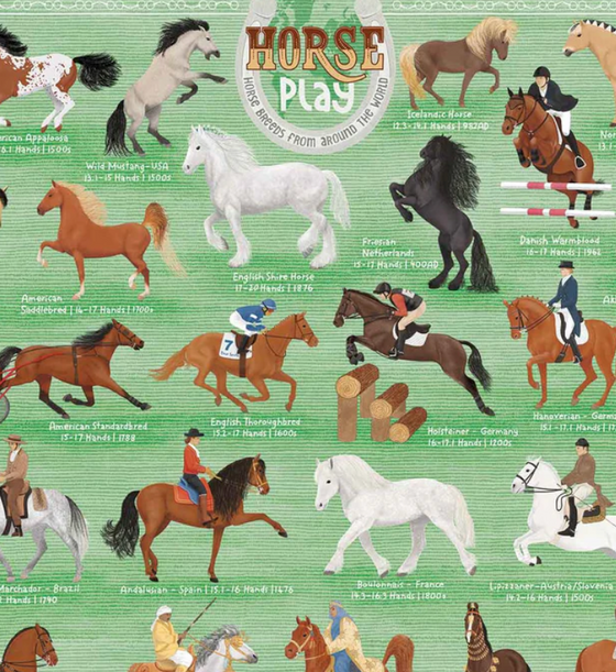 Horse Play Puzzle