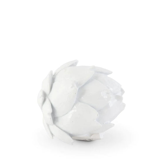 White Artichoke