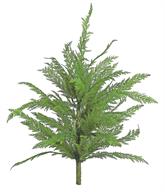  Cedar Bush 34"