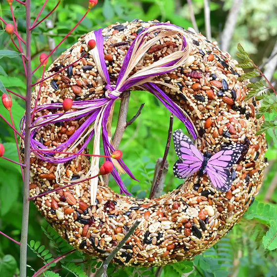 Spring Birdseed Wreath