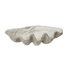  Magnesia Clam Shell Decor