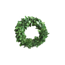  Small Preserved Boxwood Wreath 6"