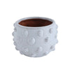 Raised Dot Terracotta Planter