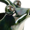 Stoneware Frog Watering Pitcher 32oz