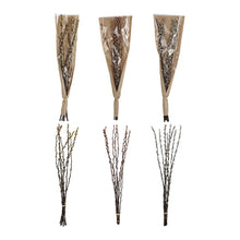  Assorted Dried Natural Willow