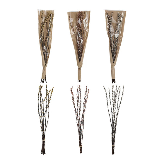 Assorted Dried Natural Willow