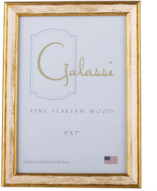  Cream and Gold Florentine Frame 4 Sizes